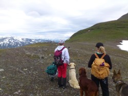 Vandring på fjället